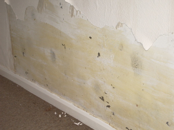 Dealing with Mould Growth