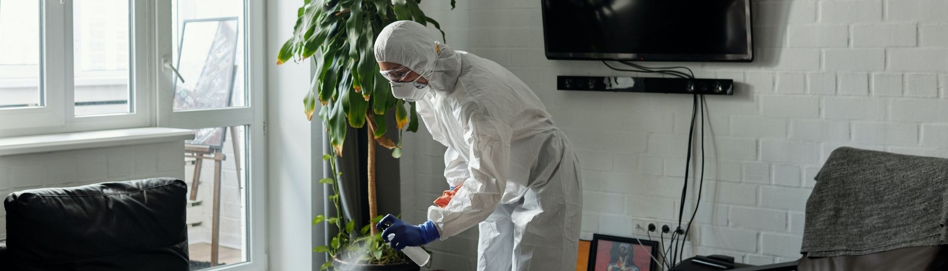 Forensic Cleanup